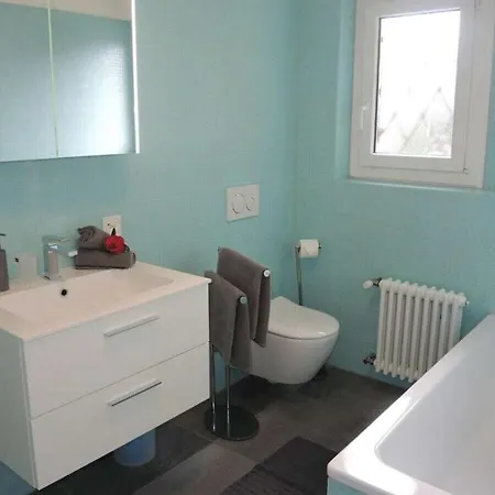 In With Swimming Pool Ferienhaus Brissago TI