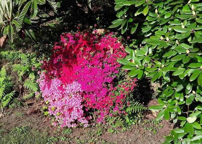 Дом отдыха In With Swimming Pool