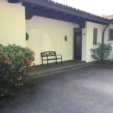 In With Swimming Pool *