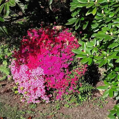 Casa vacanze In With Swimming Pool