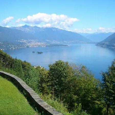 In With Swimming Pool