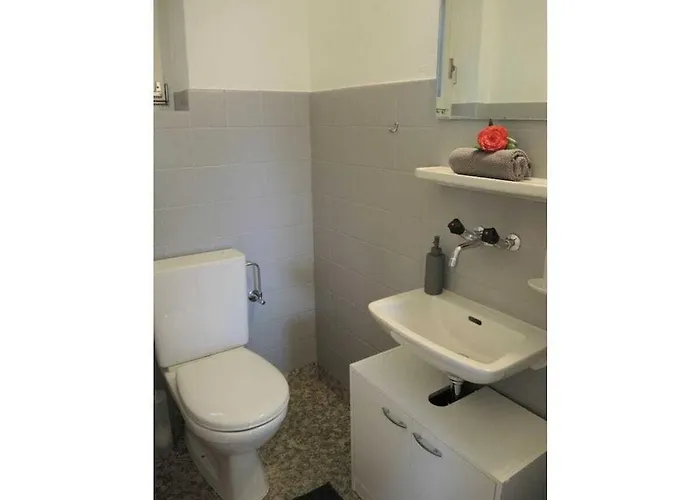 In With Swimming Pool Vakantiehuis Brissago